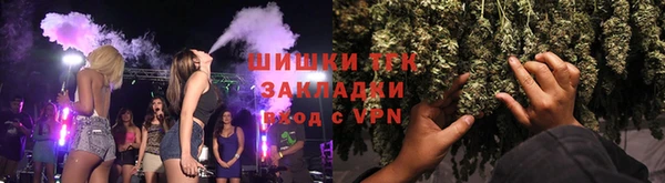 тгк Нея