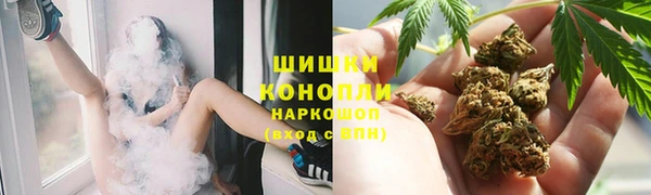 тгк Нея