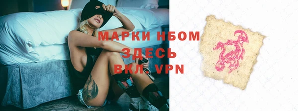 тгк Нея