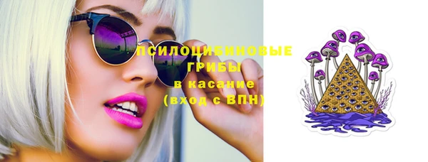 тгк Нея