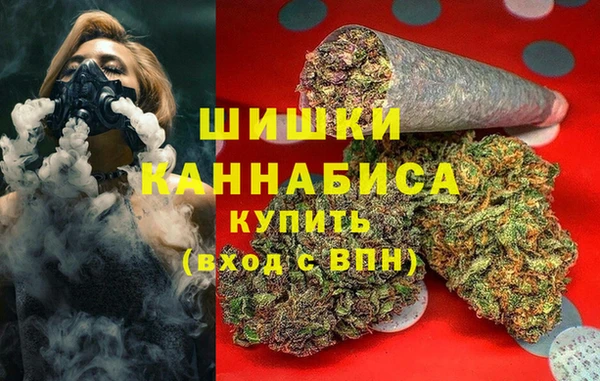 тгк Нея