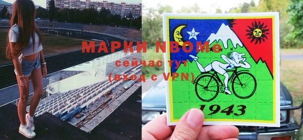 тгк Нея