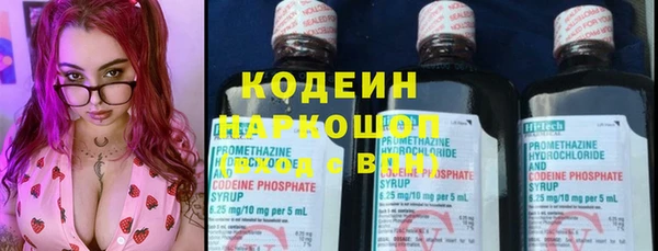 тгк Нея