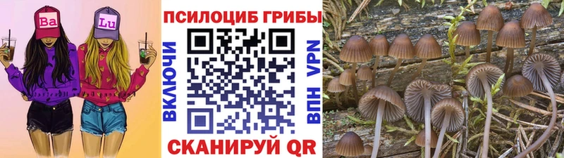 Галлюциногенные грибы MAGIC MUSHROOMS  Александров 