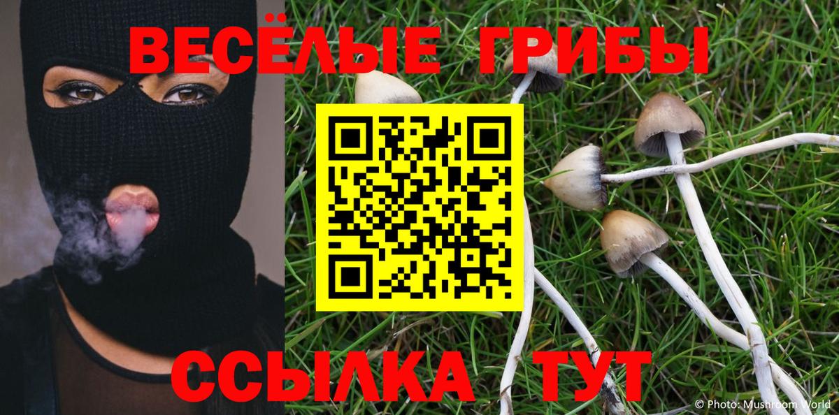 Псилоцибиновые грибы мицелий  Вход с VPN  Александров 