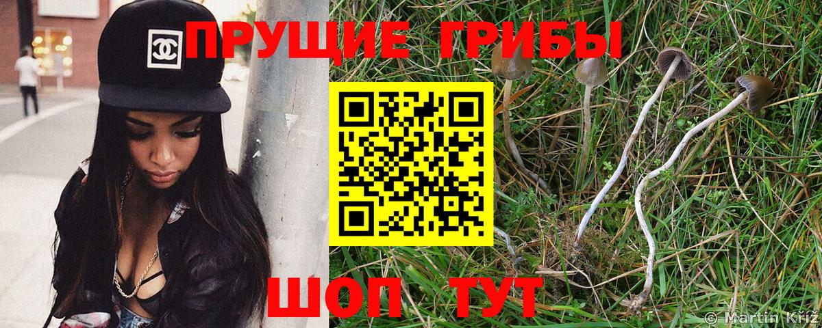 Галлюциногенные грибы прущие грибы Александров