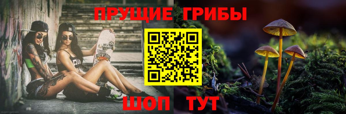 Псилоцибиновые грибы Cubensis Александров