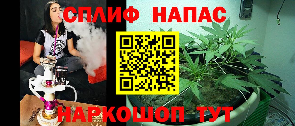 Каннабис индика  Каннабис планчик  Вход с VPN  Каннабис White Widow  Александров 
